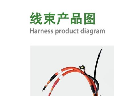 Charging Harness Assembly — BYD