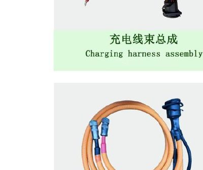 High-Voltage Wire Harness Assembly